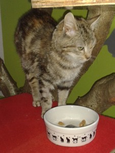 muki