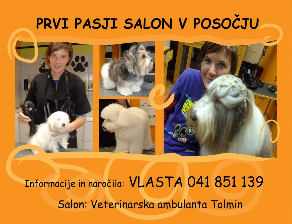 Nova slika